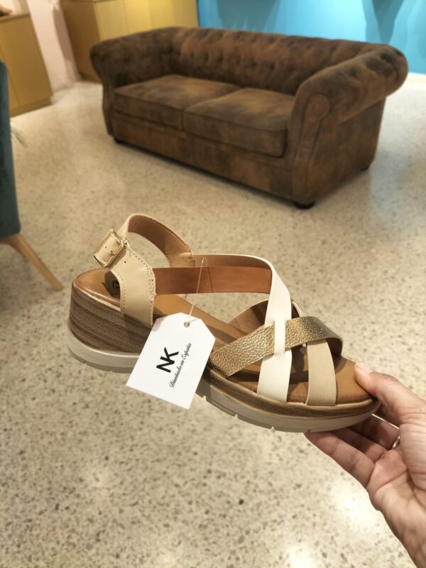 5242 Sandalia tricolor