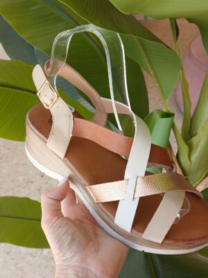 5242 Sandalia tricolor