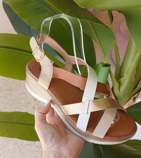5242 Sandalia tricolor