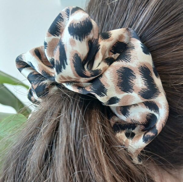 5779 Coletero - Imagen 4