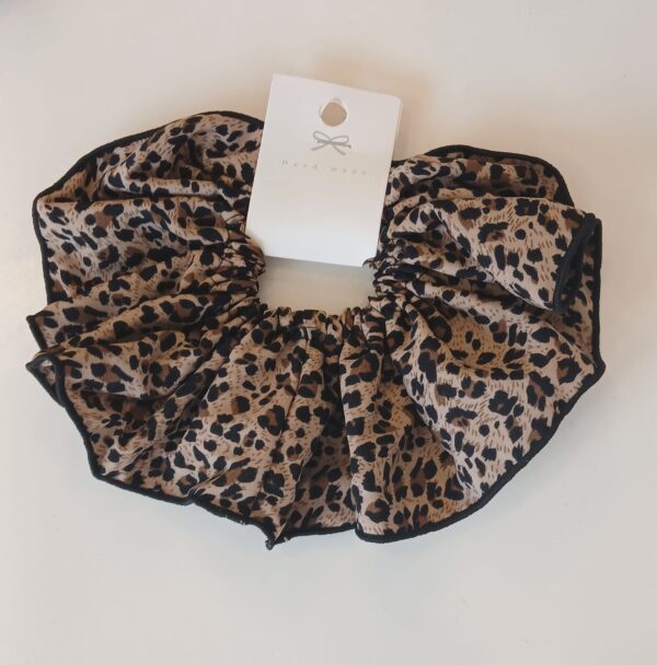 5781 Coletero - Imagen 2