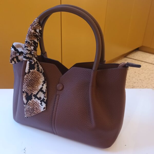 6069 Bolso